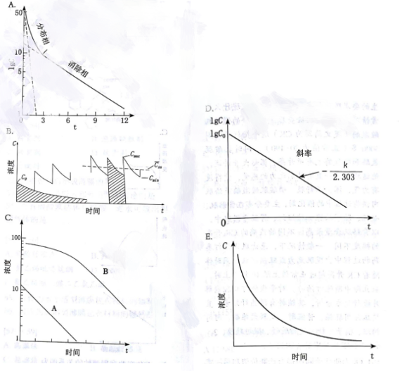 单室模型静脉注射给药血药浓度对时间半对数图为